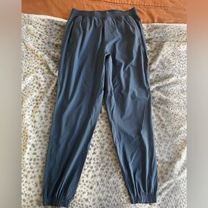Lululemon Surge Joggers - Large - regular length - 29” - Blue